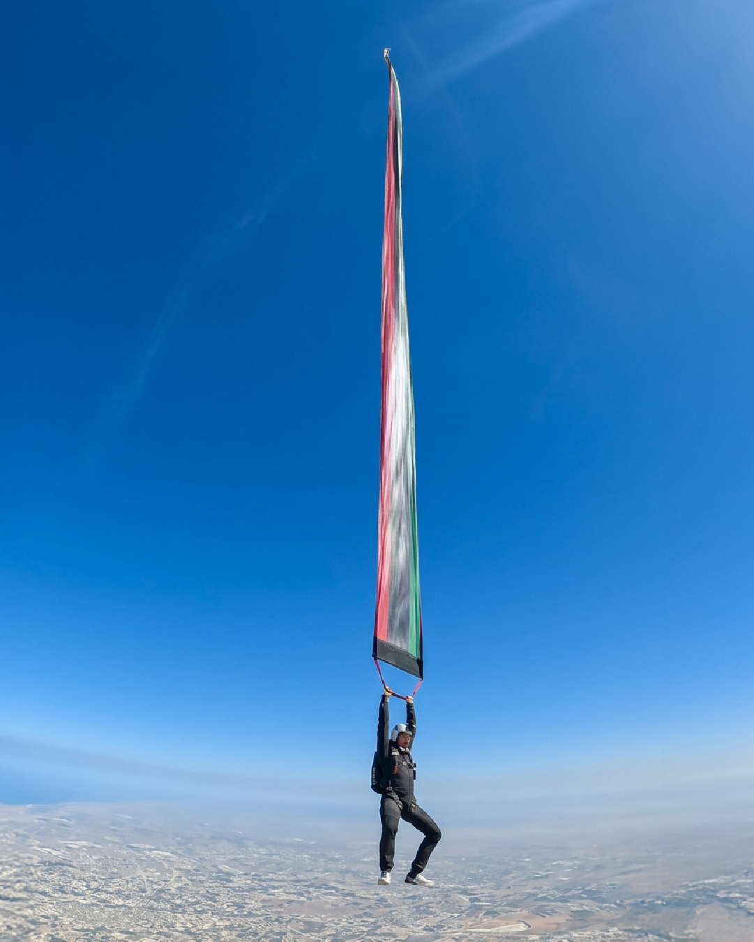 Giant Freefall Flag